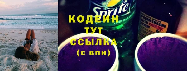 дурь Алексин