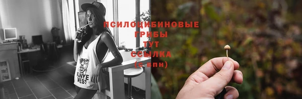 меф Арсеньев