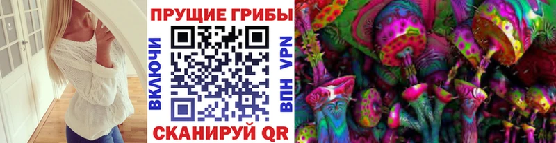 Галлюциногенные грибы Psilocybe  Адыгейск 