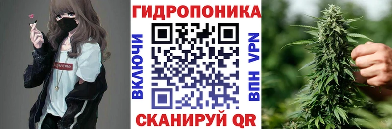 наркотики  Адыгейск  Бошки Шишки SATIVA & INDICA 